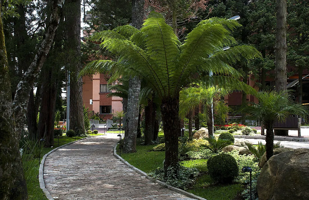Master Gramado Hotel - Localizacao No Centro E Espaco Kids Incrivel-1