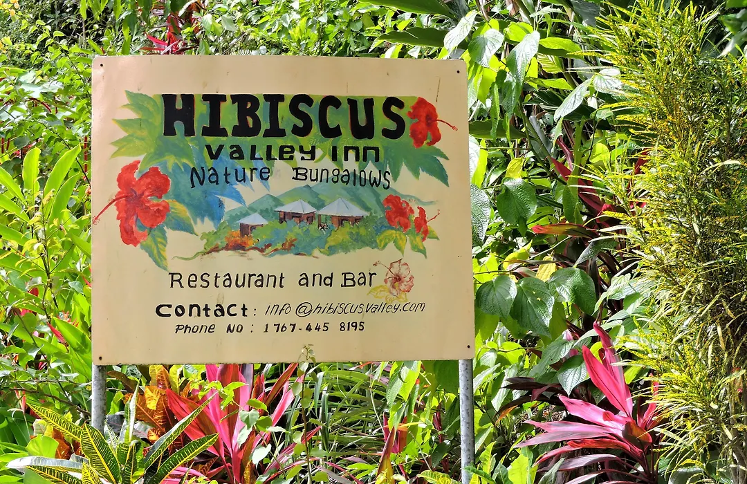 Hibiscus Valley Inn-1