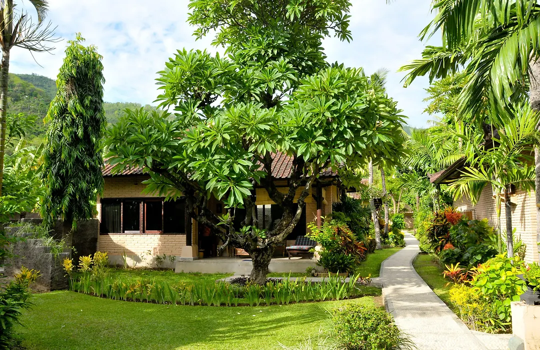 Hidden Paradise Cottages-1