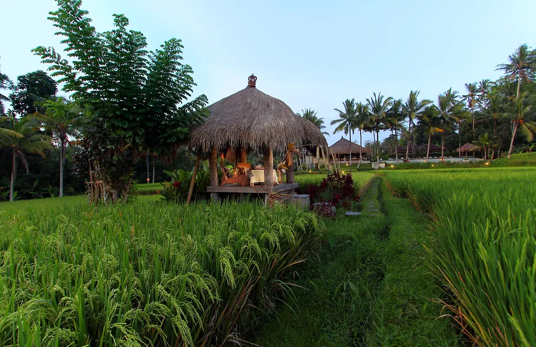 Mathis Retreat Ubud-1