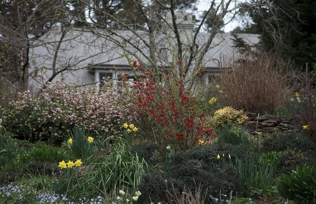 Parklands Country Gardens & Lodges Blue Mountains-1
