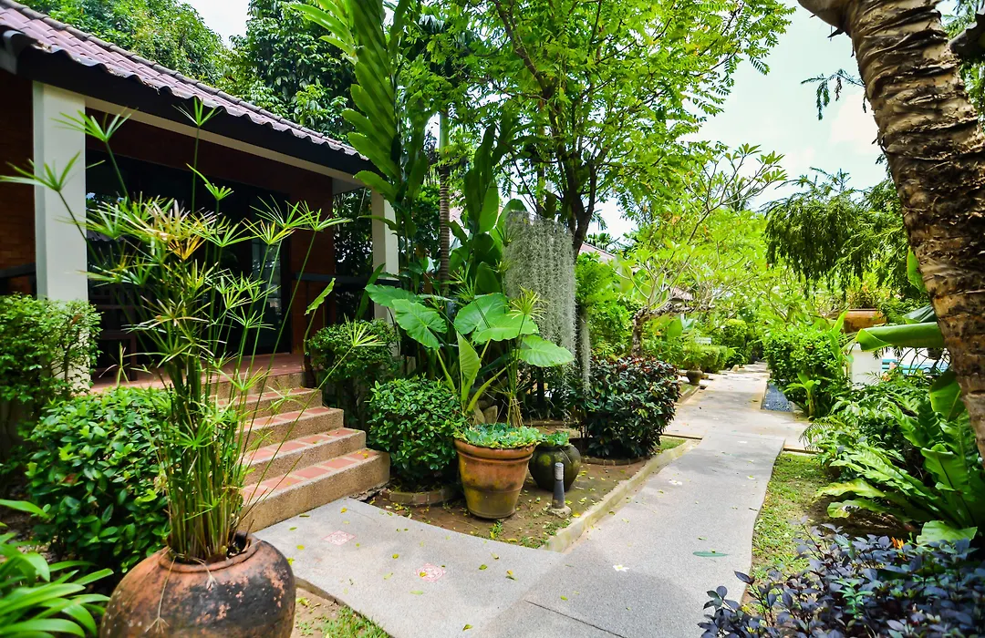 Cocoville Phuket - Sha Plus-1