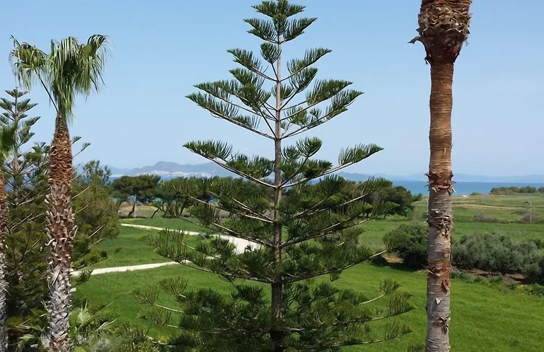 Blue Nest Hotel-1