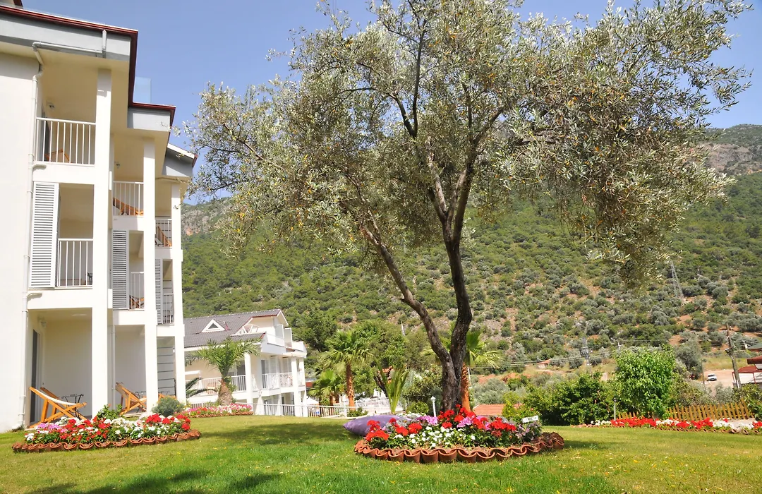 Morina Deluxe Hotel-1