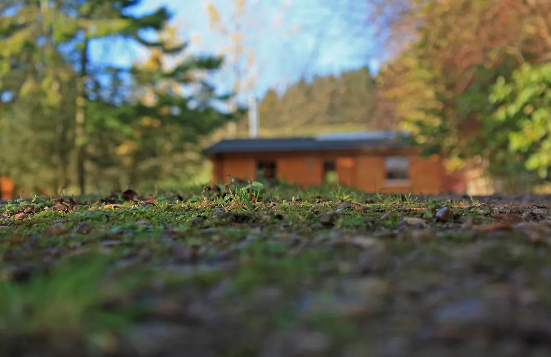 Saplinbrae Hotel And Lodges-1