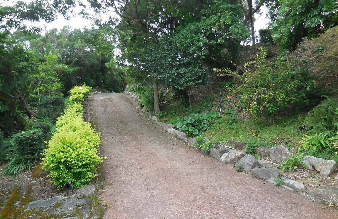 Yakushima Green Hotel-1