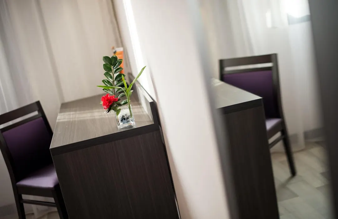 Hotel Eurocentre 3* Toulouse Nord-1