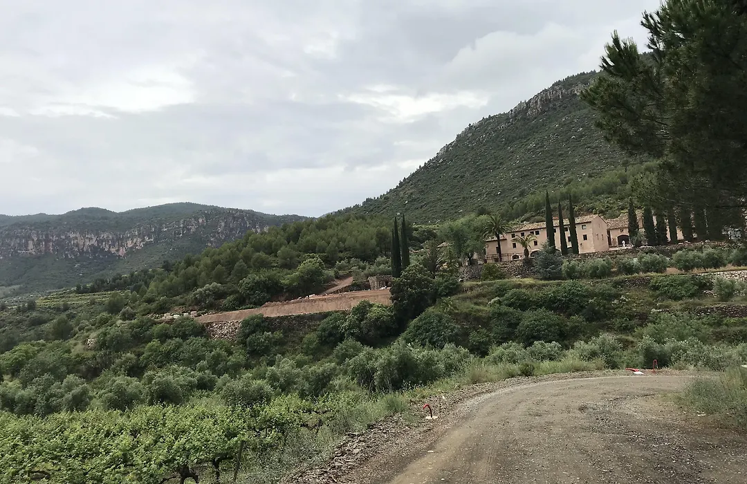 Terra Dominicata - Hotel & Winery - Adults Only-1