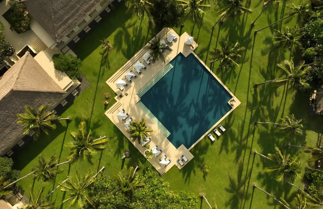 Alila Manggis-1