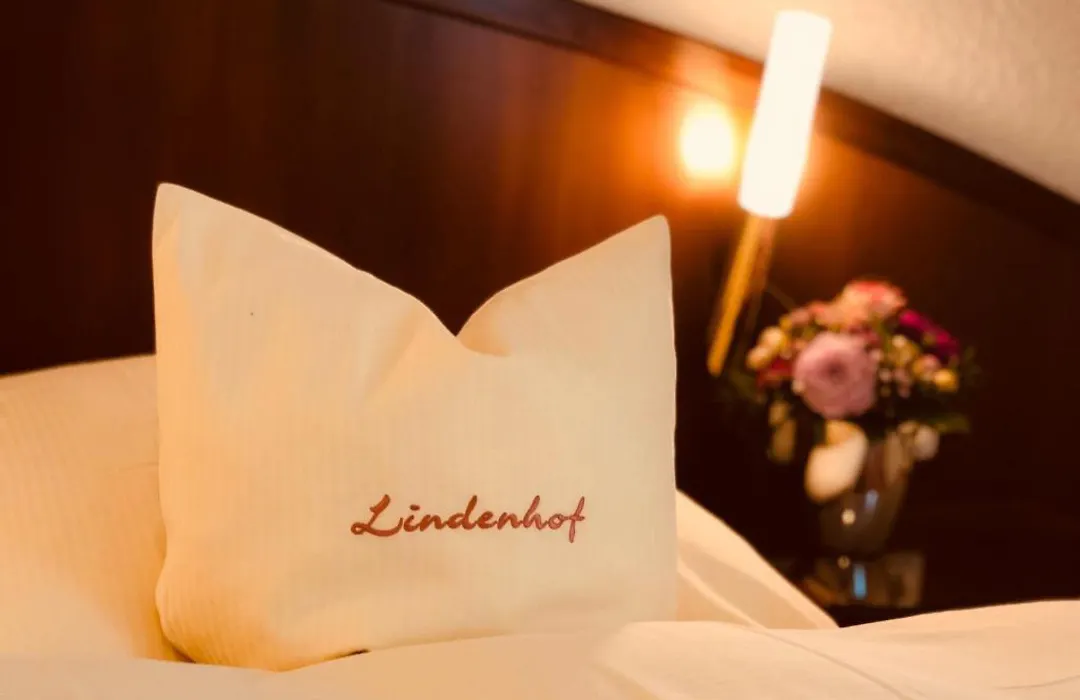 Hotel Lindenhof Kasteel-1