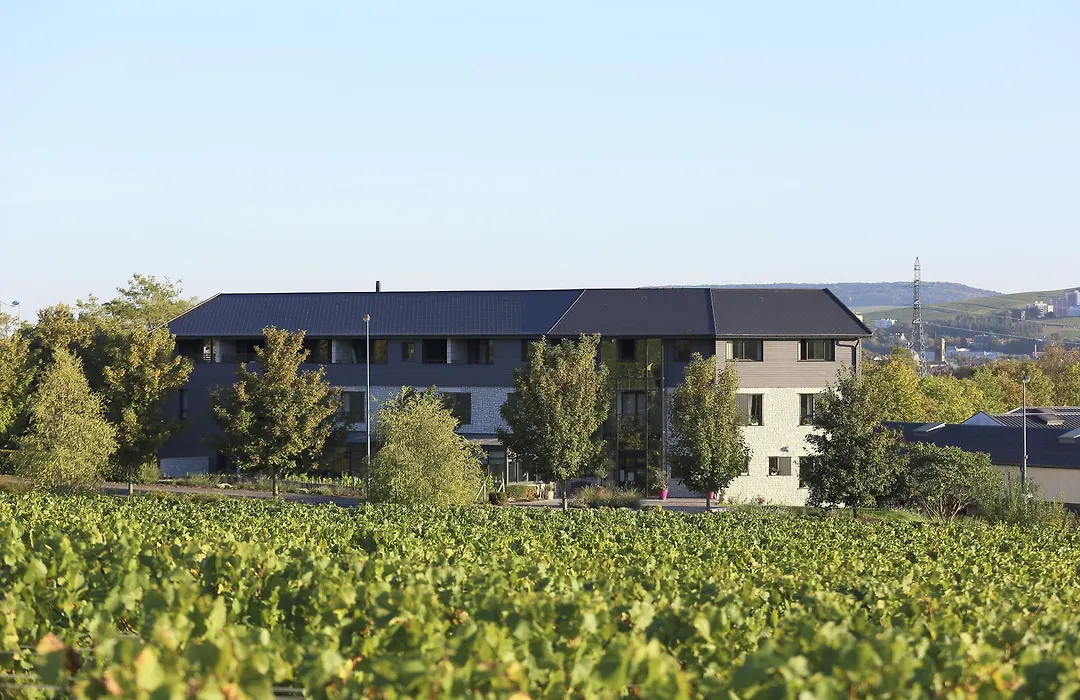 Les Grains d'Argent Dizy - Epernay-1