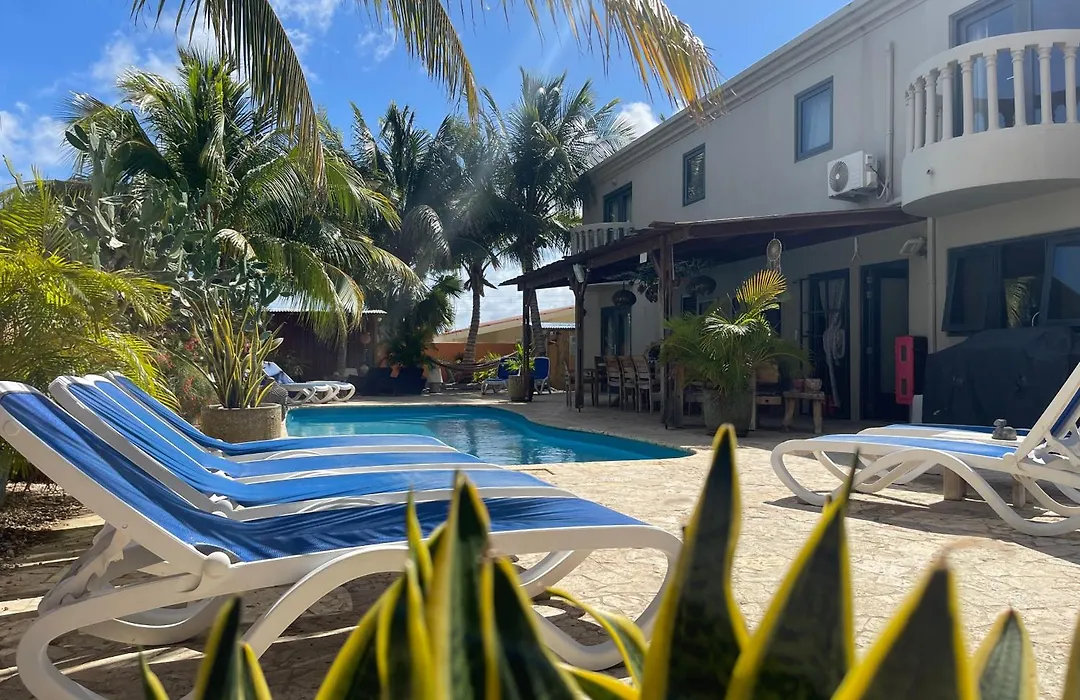 Oasis Guesthouse, Boutique Style Hotel-1