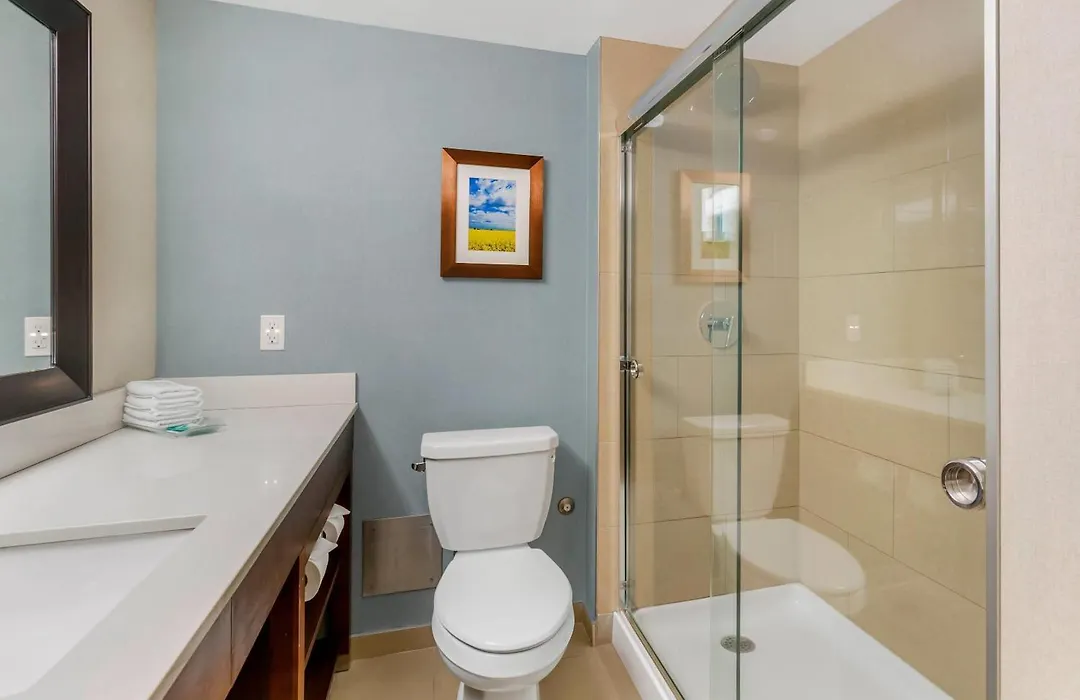 Clarion Hotel & Suites Brandon-1