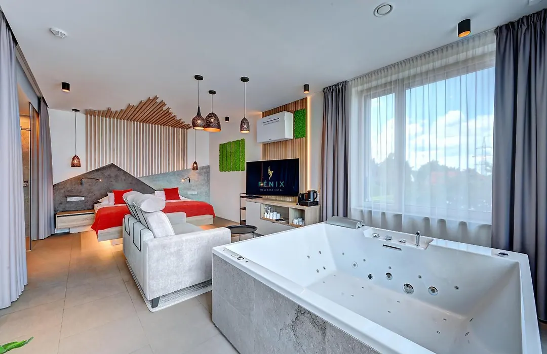 Wellness Hotel Fénix-1