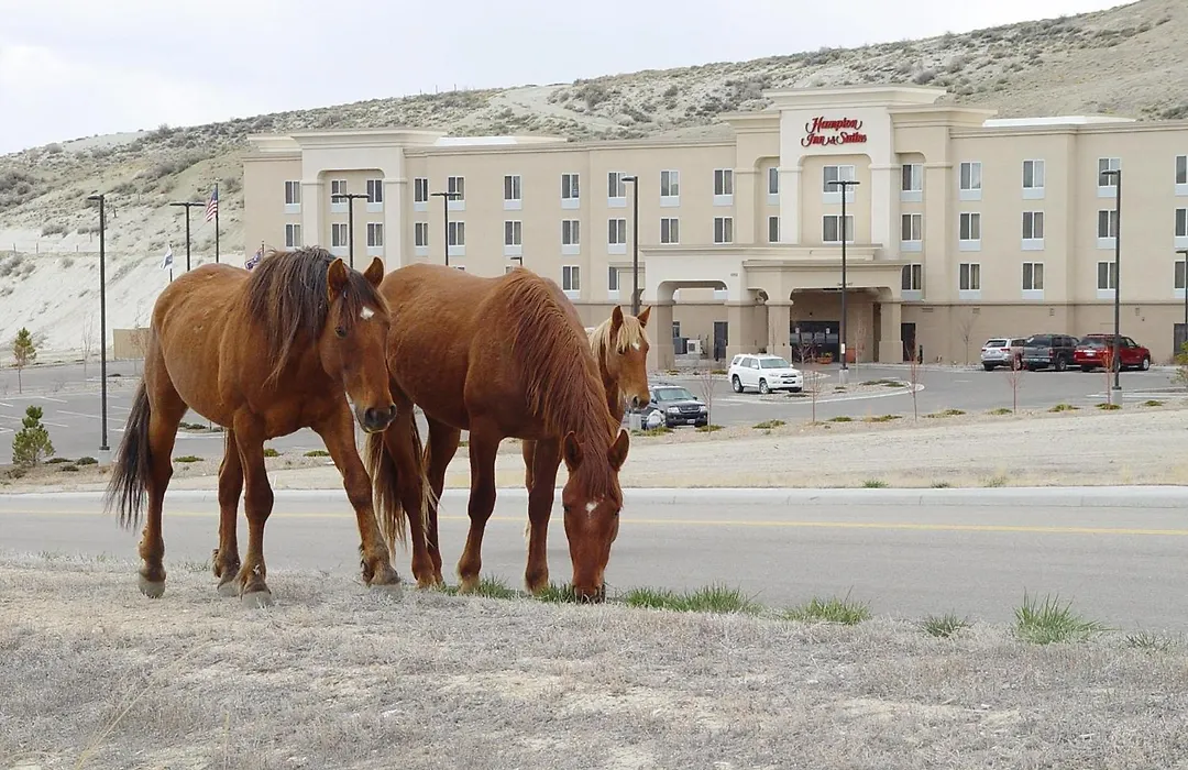 Hampton Inn & Suites Green River-1