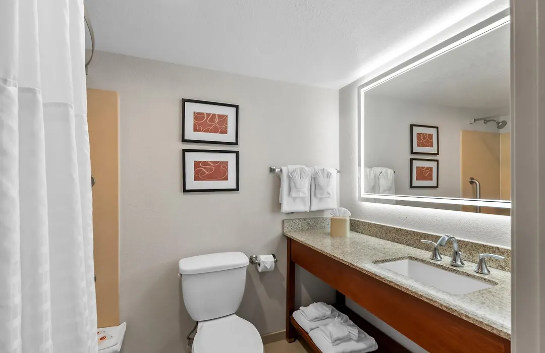 Comfort Suites Near Potomac Mills-1