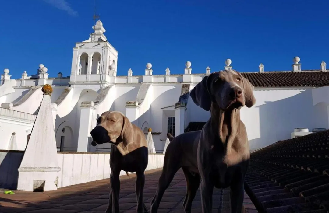 Convento Do Espinheiro, Historic Hotel & Spa-1