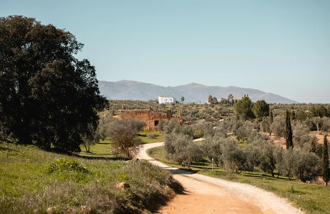 Finca las Calmas boutique hotel&retreats-1