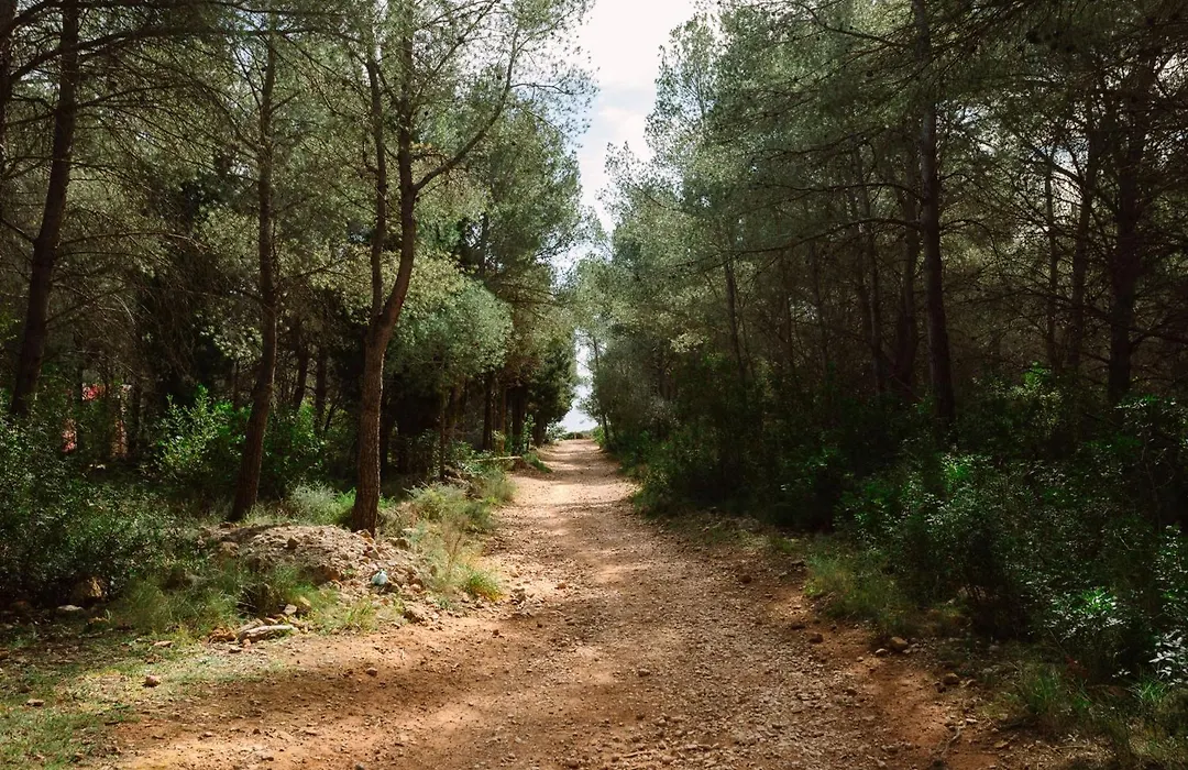 Camping Ribamar-1