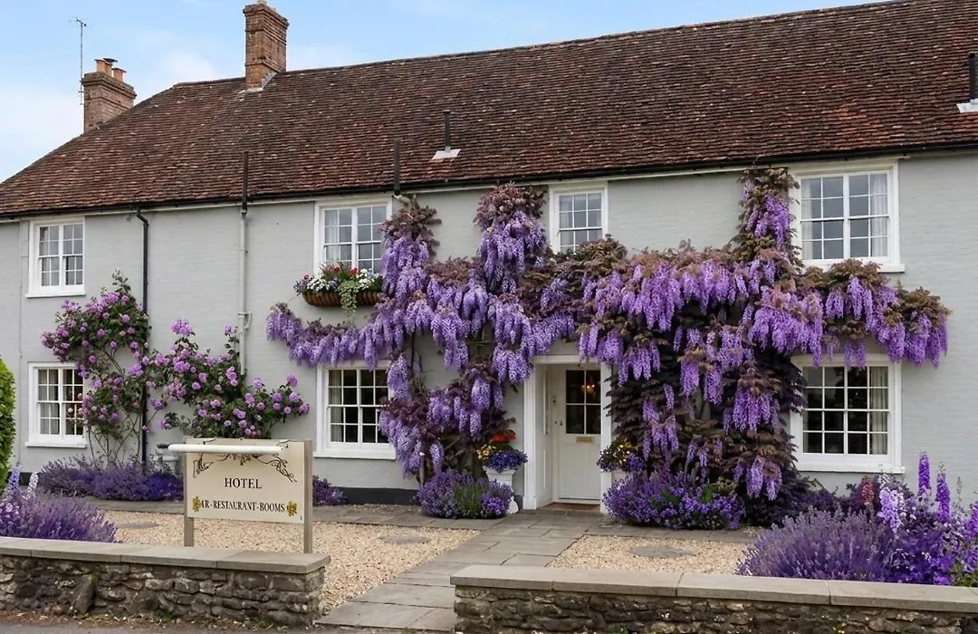 Meryan House Hotel-1