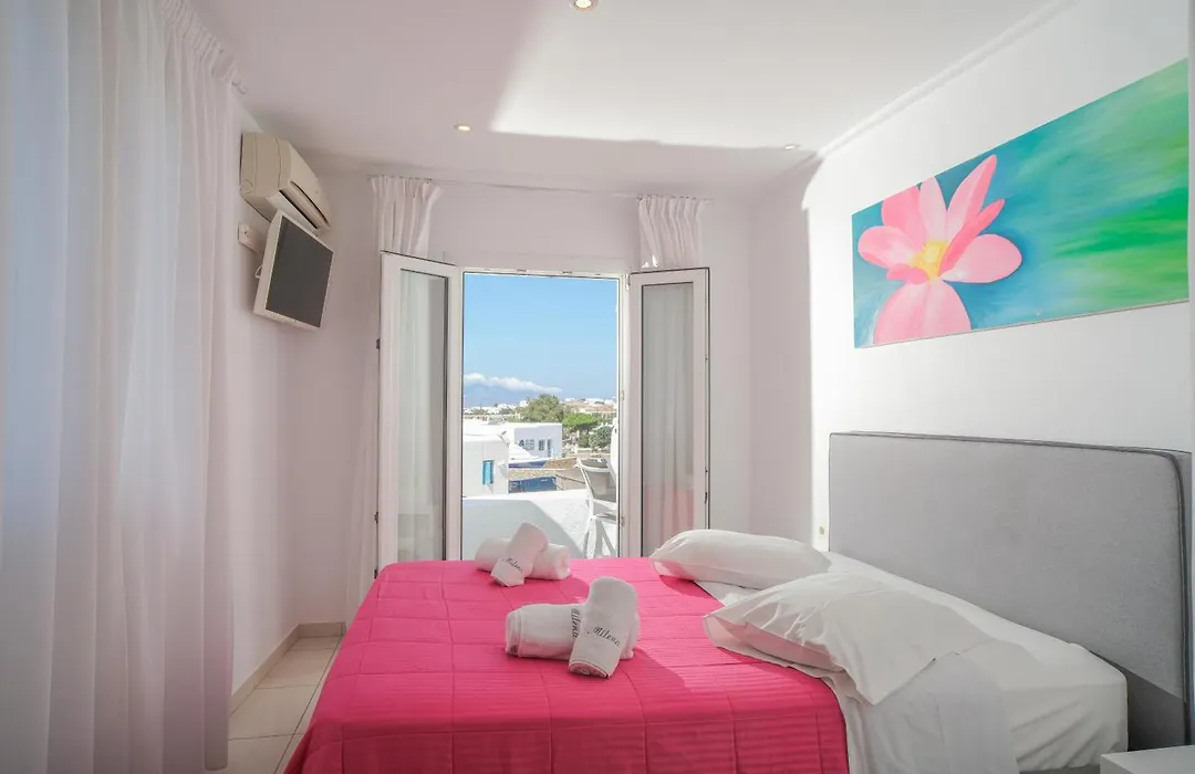 Hotel Milena-1