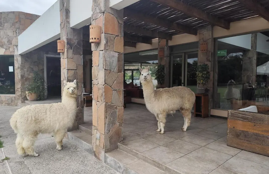 Hotel Limari-1