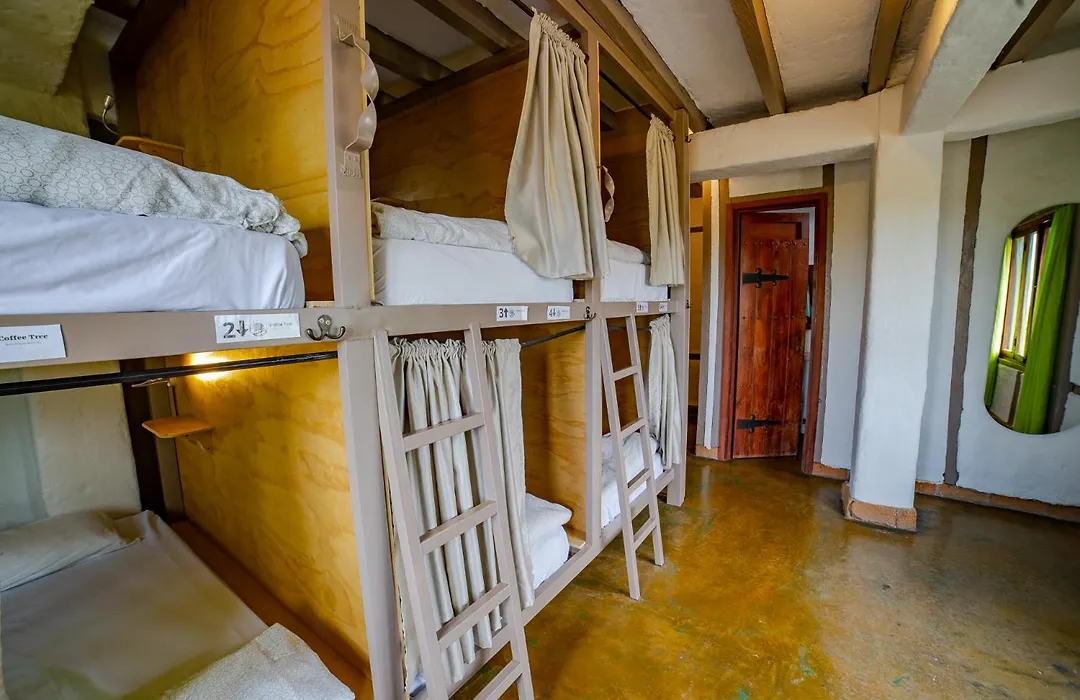 Coffee Tree Boutique Hostel-1