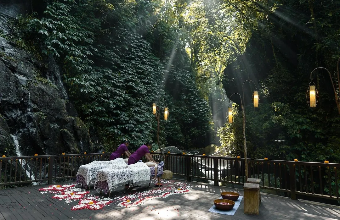 Nandini Jungle By Hanging Gardens-1