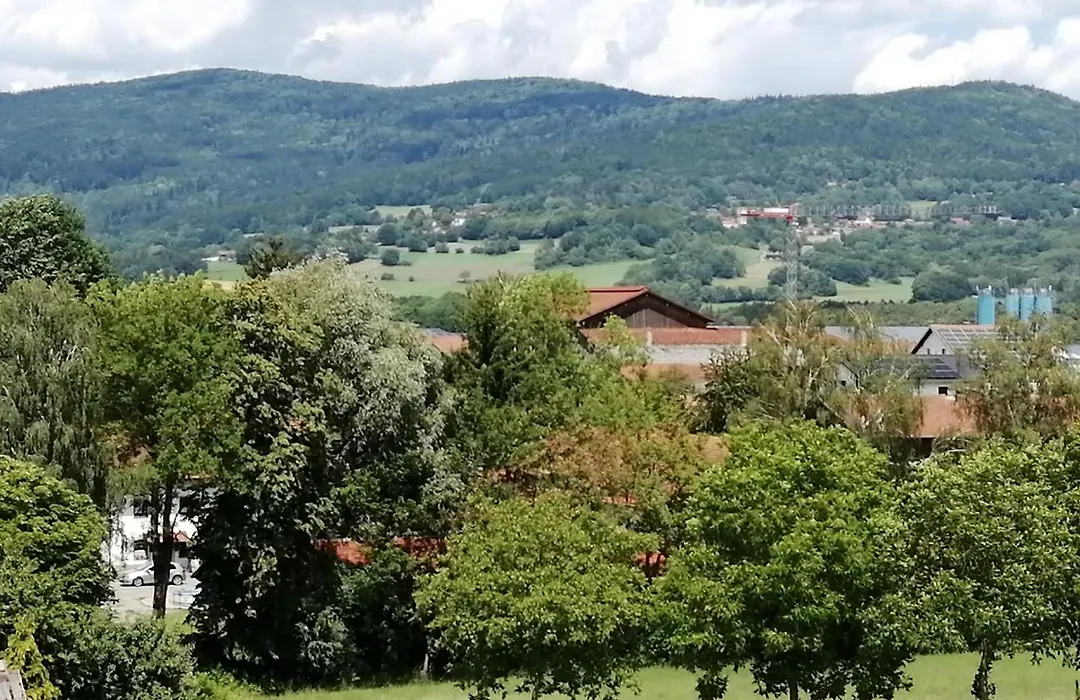 Hotel Lugerhof-1