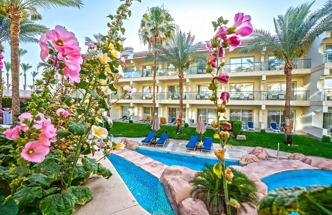 Xperience Sea Breeze Resort (Adults Only)-1
