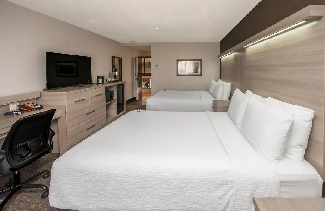 Coast Calgary University Area Hotel By Apa-1