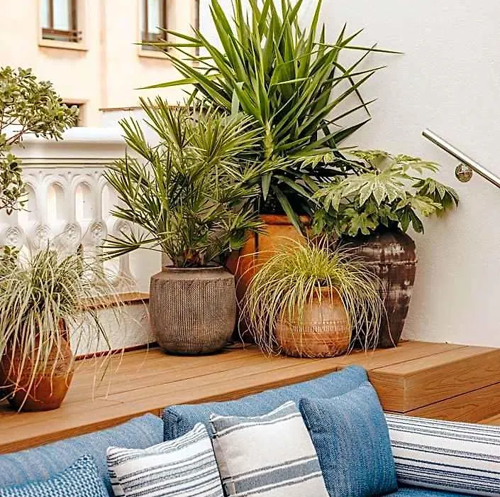 Hotel Pulitzer Barcelona-1