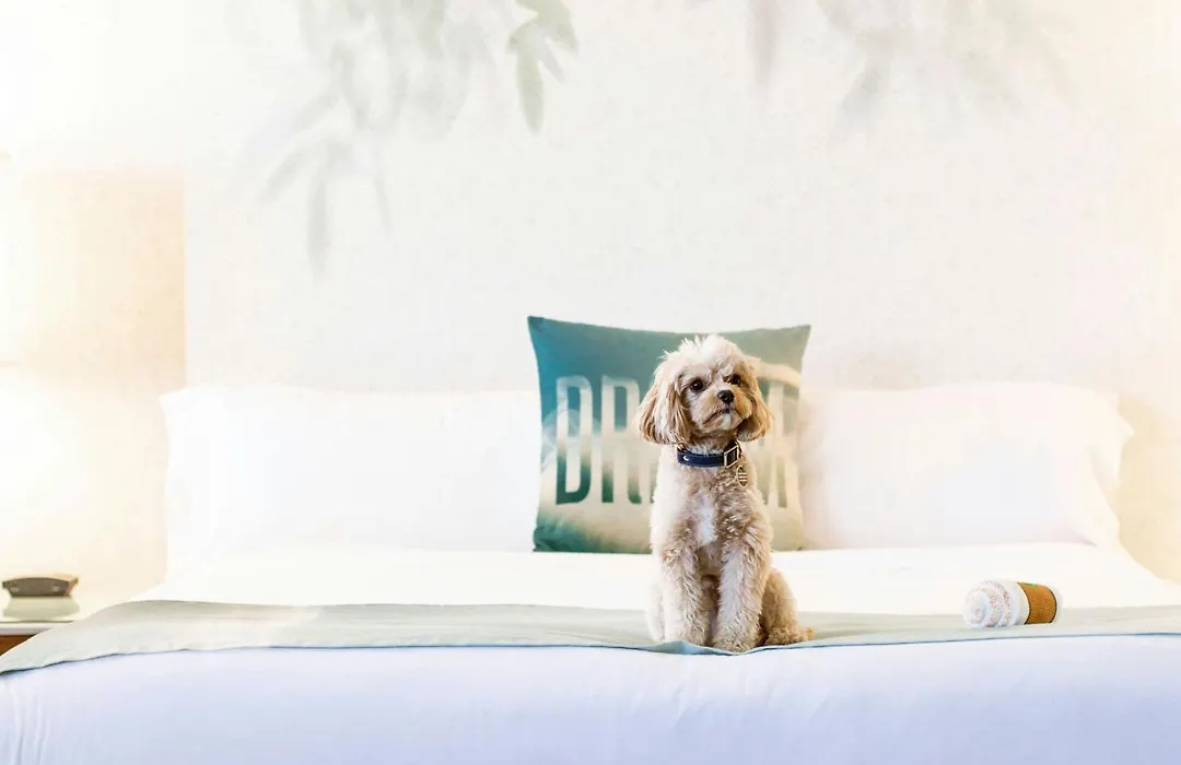 W Los Angeles – West Beverly Hills-1