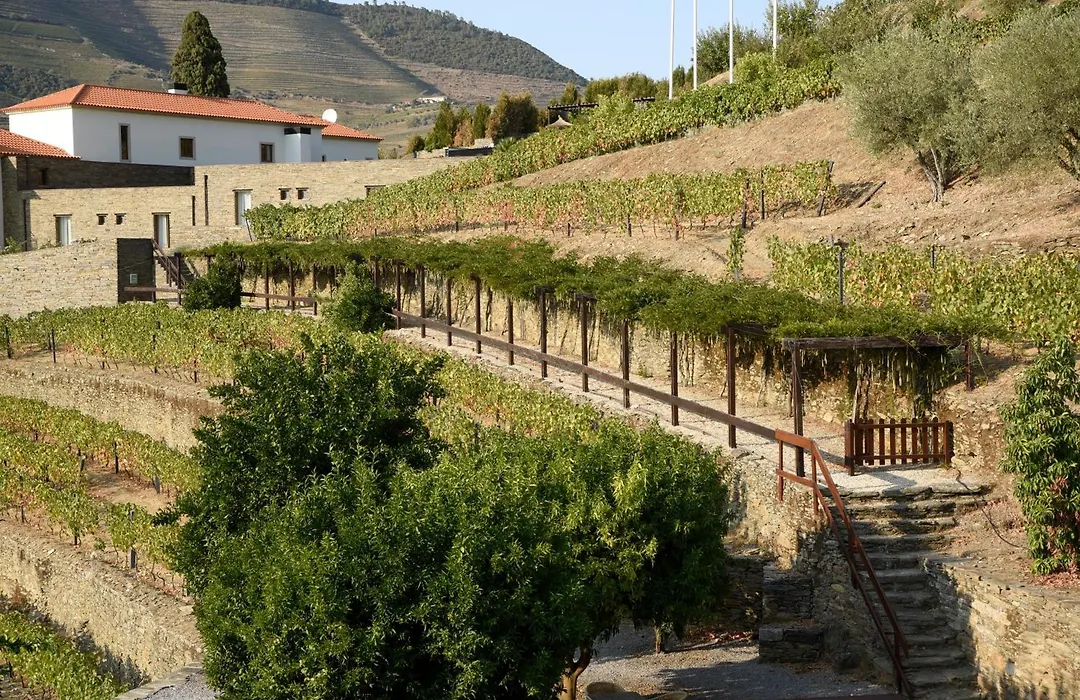 Hotel Rural Quinta Do Pego-1