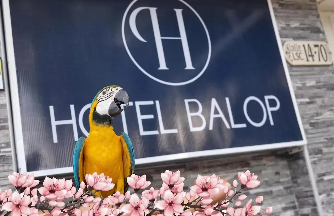 Hotel Boutique Sonne Balop Valledupar-1