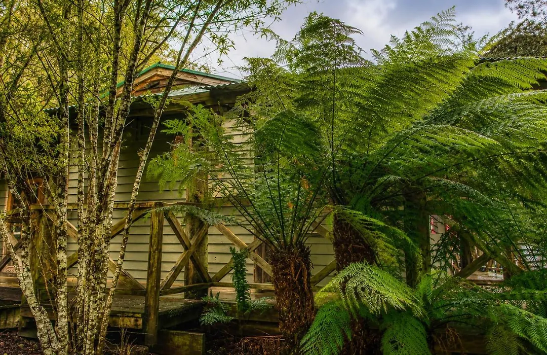 Cradle Forest Inn-1