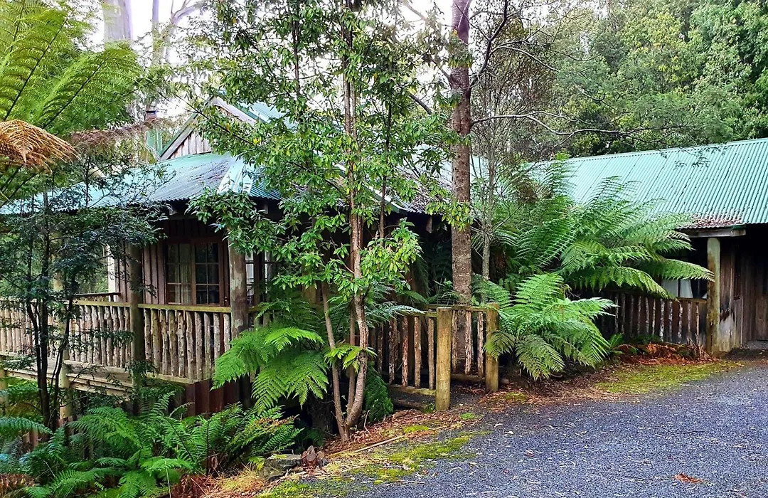 Lemonthyme Wilderness Retreat-1