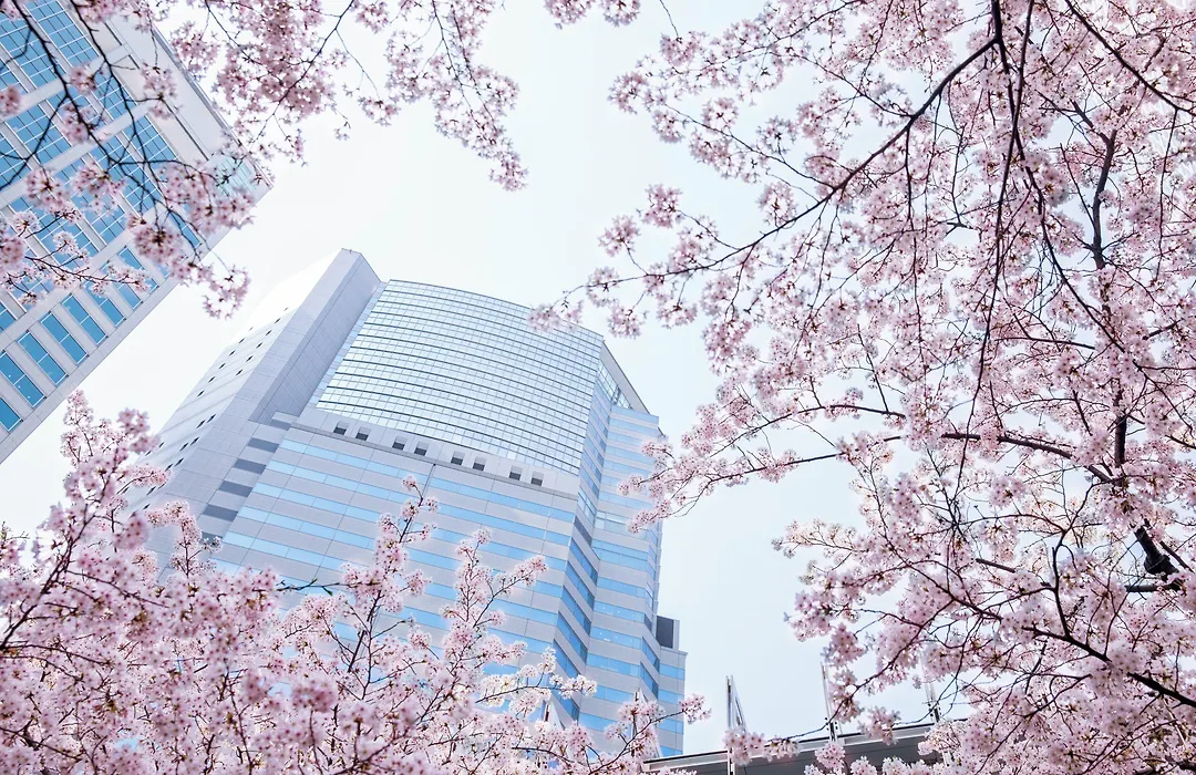The Strings By Intercontinental, Tokyo By Ihg-1