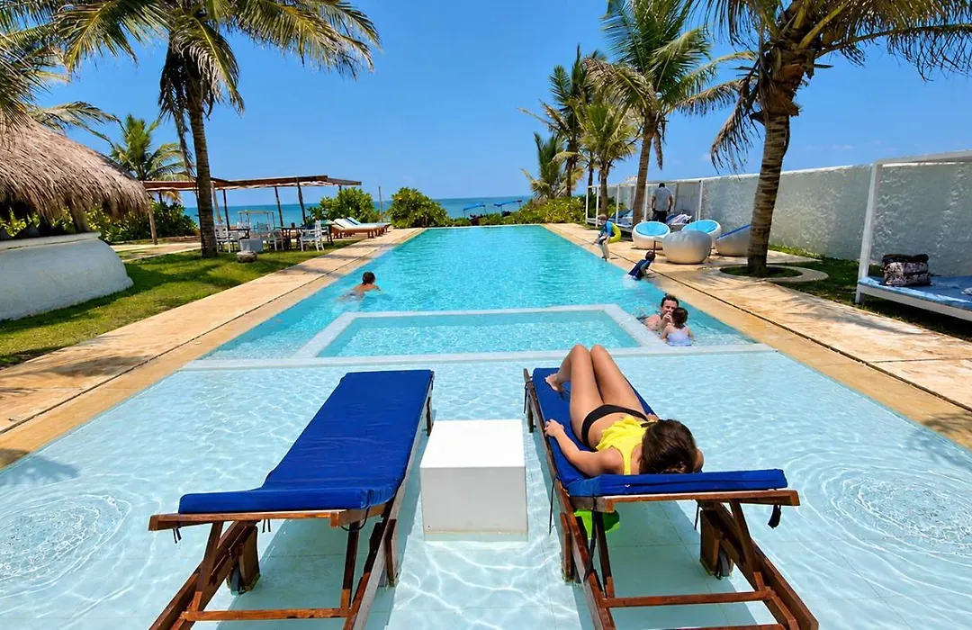 Dolphin Beach Resort - Dolphins, Kitesurfing & Wildlife-1