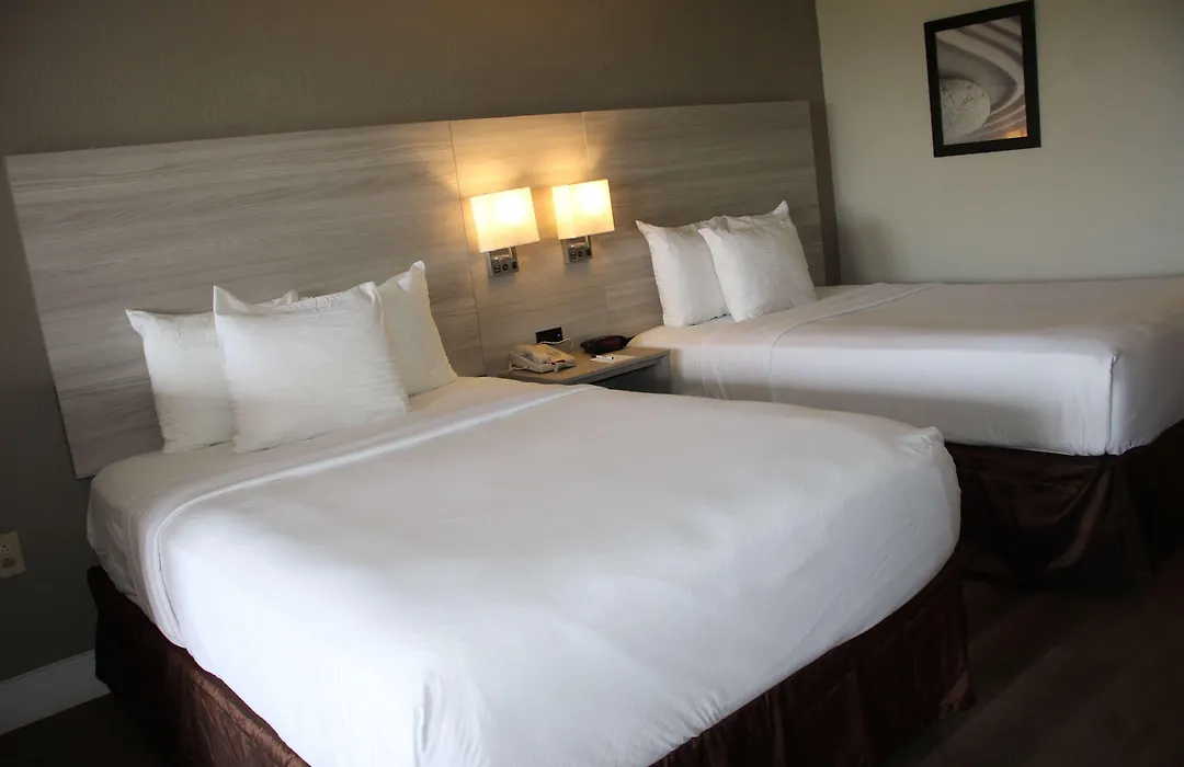 Boca Suites Deerfield Beach; Surestay Collection By BW-1