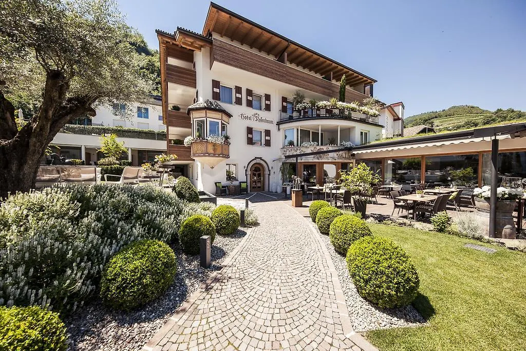 Boutique Hotel Zum Rosenbaum-1