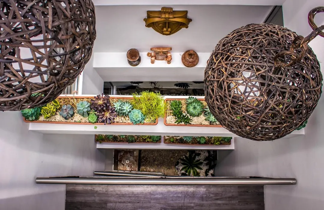 Hotel San Blass Boutique-1