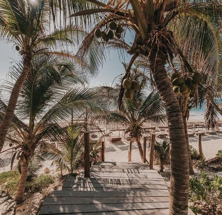 Papaya Playa Project, Tulum, A Member Of Design Hotels-1