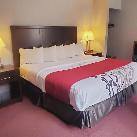 Blackstone Lodge And Suites-2