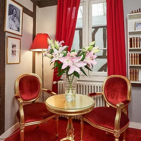 Logis Hotel Du Theatre-2