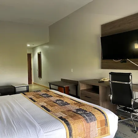 La Quinta By Wyndham Tampa Central-3