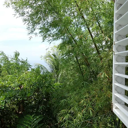 Hotel Mocking Bird Hill-2