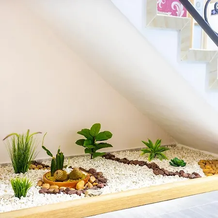 Hotel Plaza Real Boutique-2