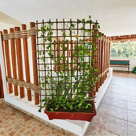 Hotel Suites Ixtapa Plaza-3