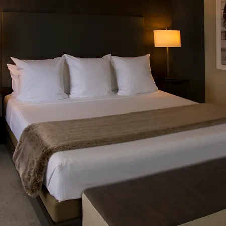 The Benson Portland, Curio Collection By Hilton-2
